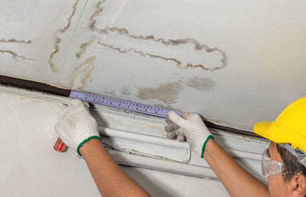 Reliable Burst Pipe Cleanup contractor in Graytown, OH by Water Damage Irwin